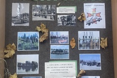 IMG_4566